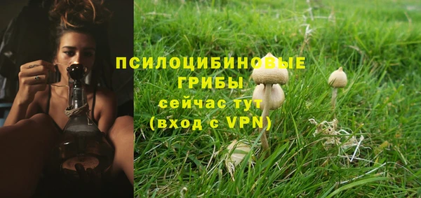 прущий лед Вязники