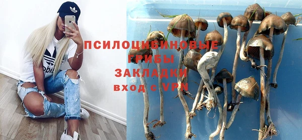 героин Вяземский