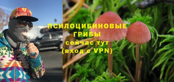 героин Вяземский