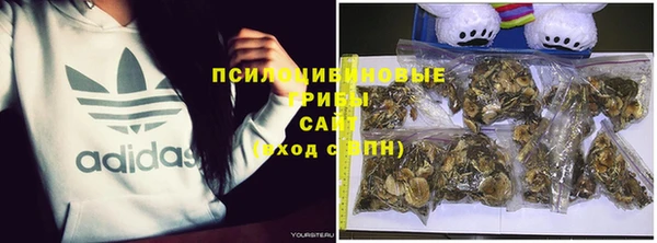 героин Вяземский