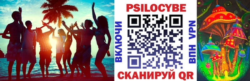 Галлюциногенные грибы Psilocybe  Исилькуль 